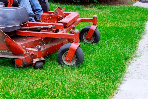 a person is riding a red lawn mower on a lush green lawn